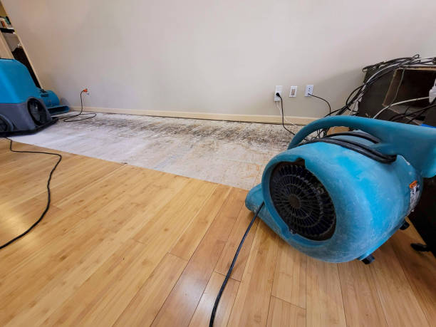 Professional Sewage Cleanup technician working in Jellico, TN